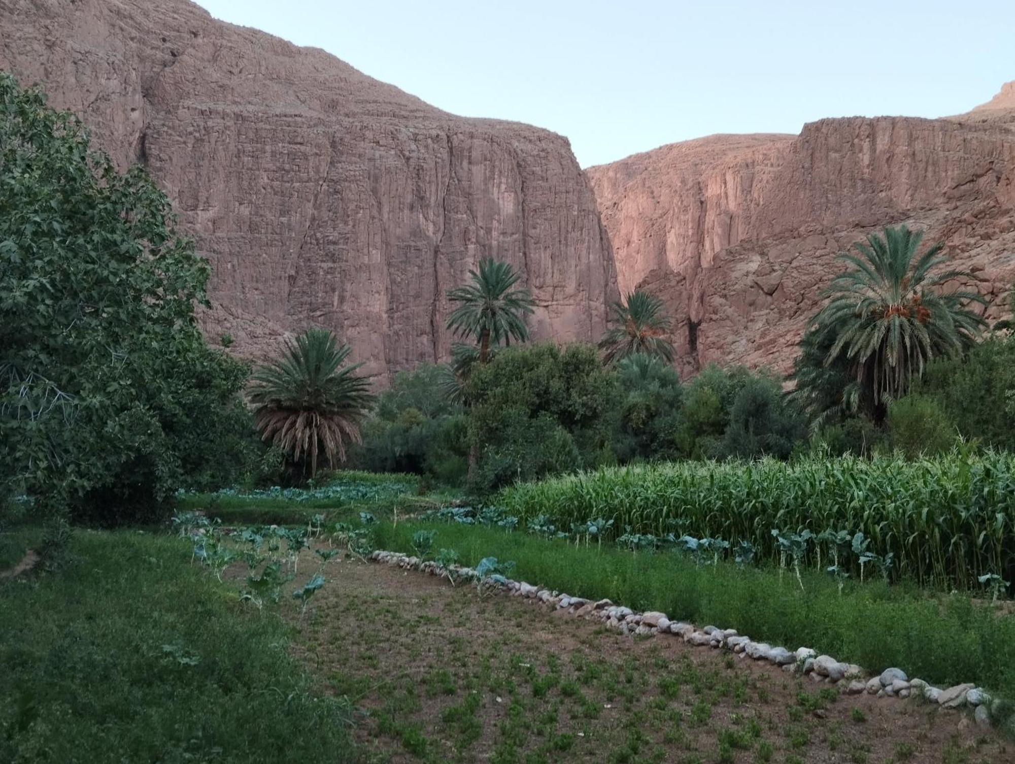 Riad La Fleur Aït Baha Dış mekan fotoğraf