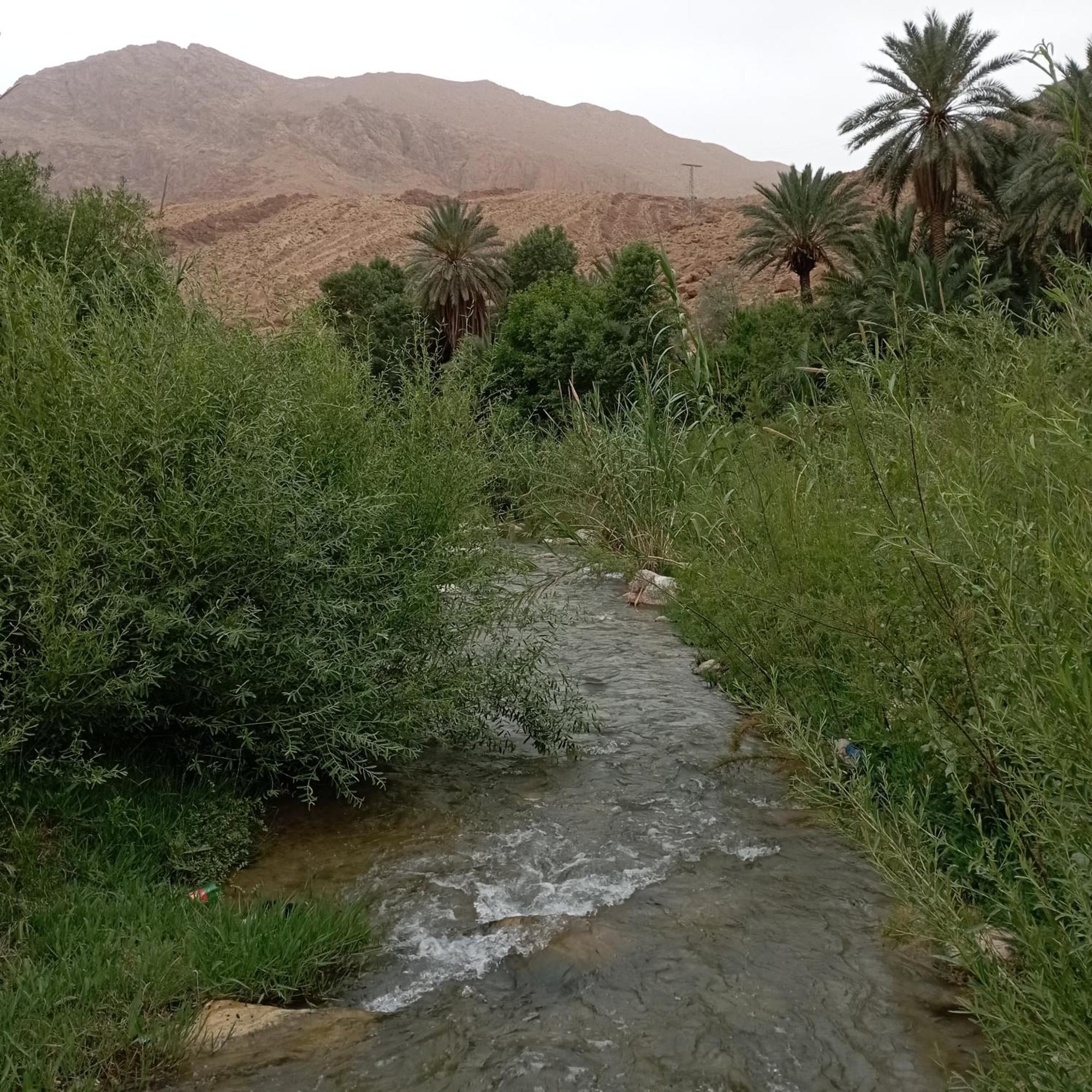 Riad La Fleur Aït Baha Oda fotoğraf