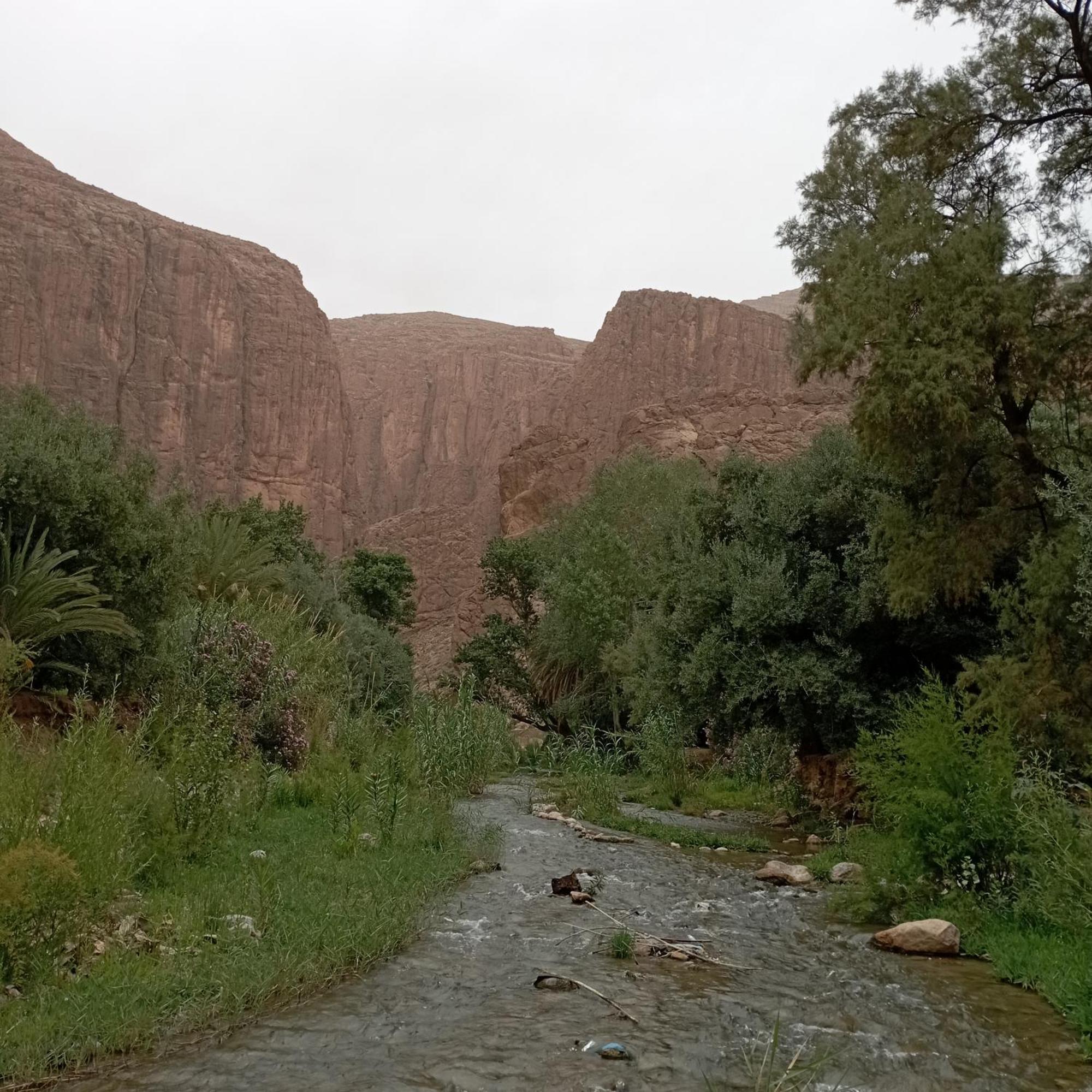 Riad La Fleur Aït Baha Oda fotoğraf